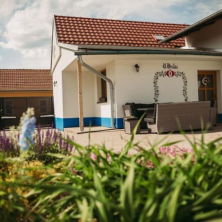 Apartman U Draba: Ubytovani Na Slovacku V Miloticich U Kyjova Milotice المظهر الخارجي الصورة