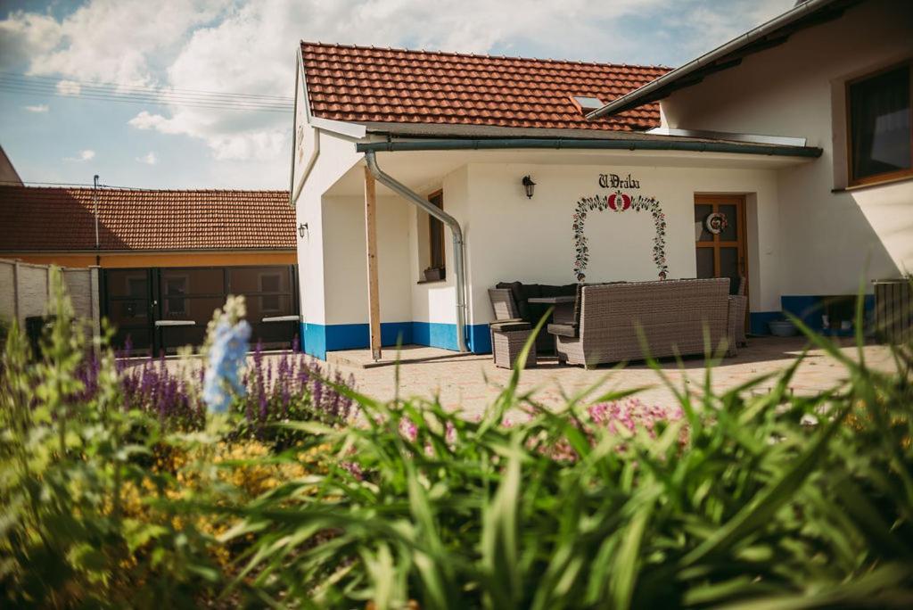 Apartman U Draba: Ubytovani Na Slovacku V Miloticich U Kyjova Milotice المظهر الخارجي الصورة