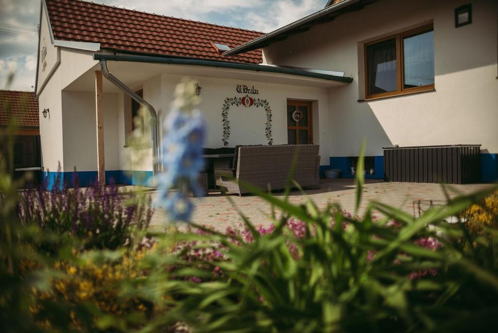 Apartman U Draba: Ubytovani Na Slovacku V Miloticich U Kyjova Milotice المظهر الخارجي الصورة